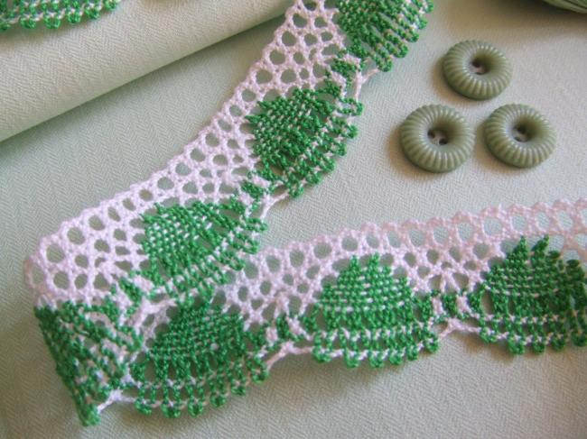 Charmante dentelle bicolore vert & blanc en coton à feston en 23mm