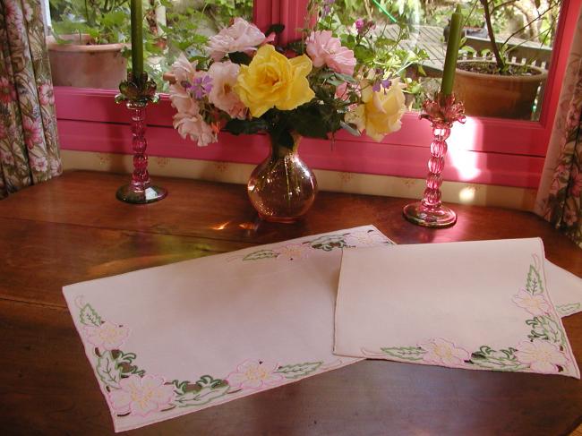 So adorable pair of trolley clothes with sweet embroidered flowers