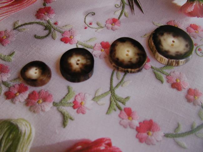 4 superbes boutons dits tranches de corne