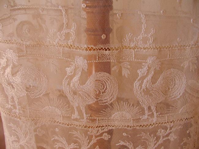 Absolutely stunning embroidered net petticoat 1880 with floral and cocks