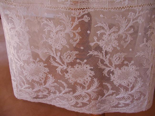 Absolutely stunning embroidered net petticoat 1880 with floral and cocks