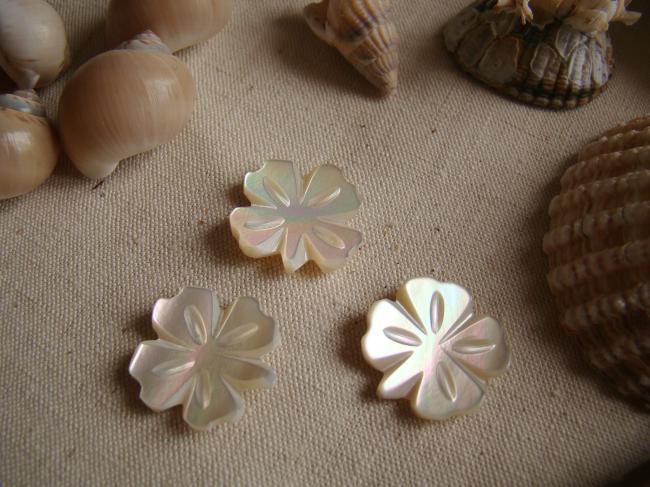 Merveilleux bouton de nacre taillé à la main en trèfle à quatre feuilles 1900