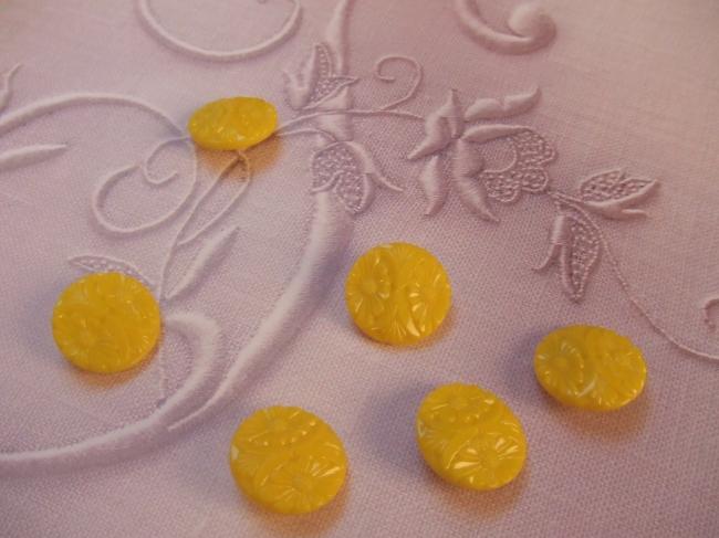 Superbe série de 6 boutons jaunes en verre moulé de marguerites  1950