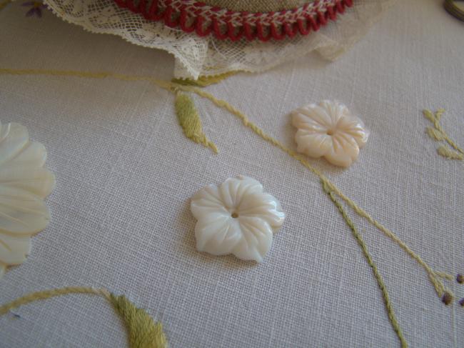 Charmant bouton de nacre blanche taillé en fleur d'Hibiscus