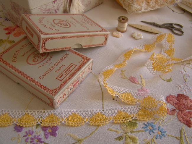 Charmante dentelle bicolore jaune & blanc en coton à feston en 23mm