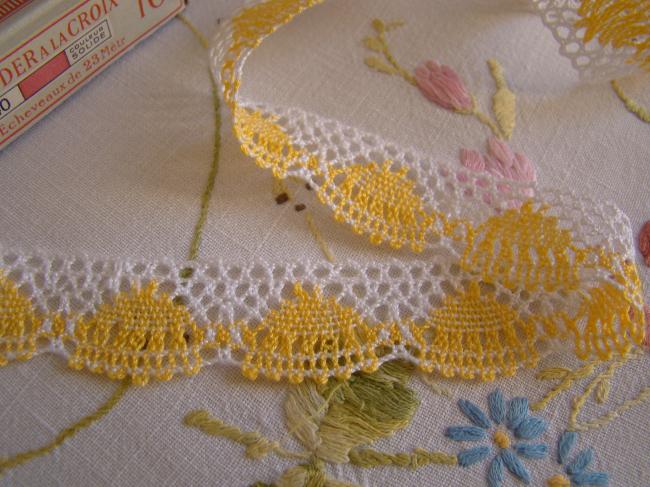 Charmante dentelle bicolore jaune & blanc en coton à feston en 23mm