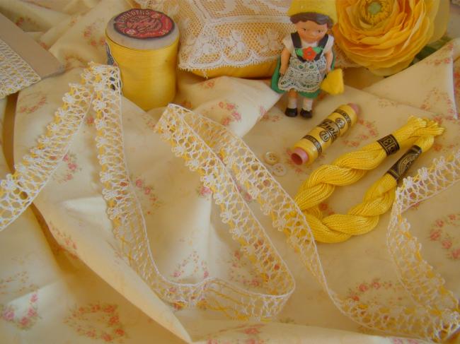 Charmante dentelle bicolore jaune & blanc cassé, coton, à petits festons 18mm
