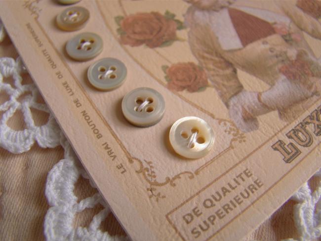 Lovely card with 6 little antique buttons in grey light mother of pearl