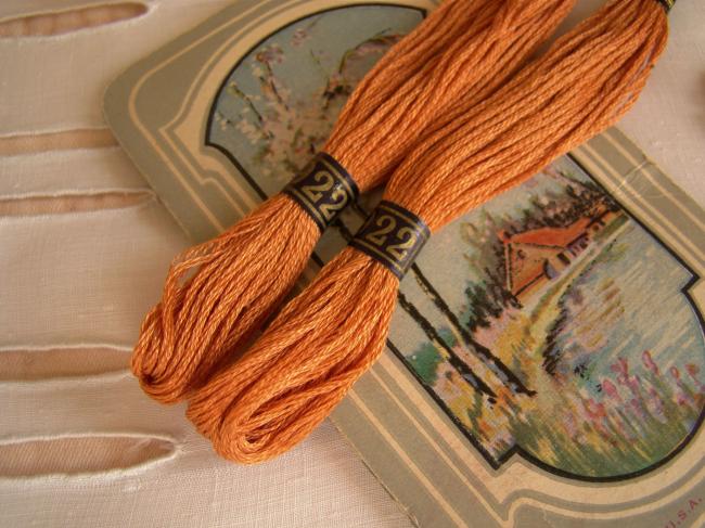 Echeveau Coton mouliné spécial DMC n°25, couleur orange'Terracota' N°922