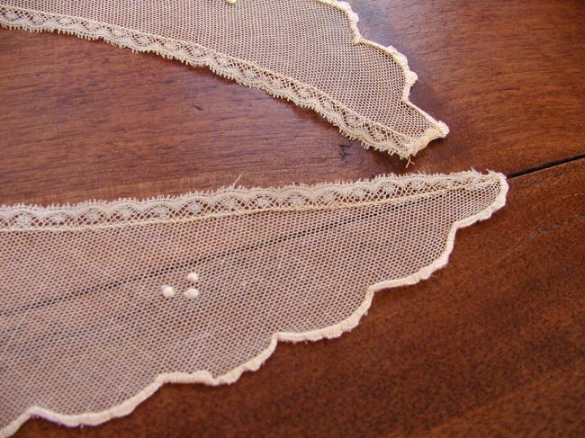 Gorgeous collar in embroidered net with hand-embroidered flowers 19th century