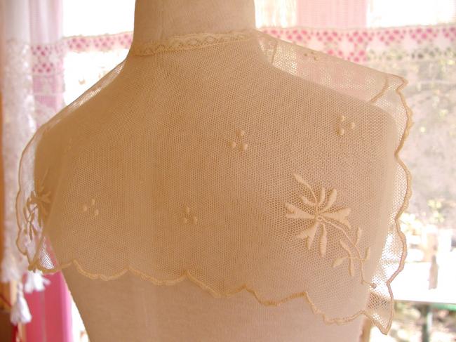 Gorgeous collar in embroidered net with hand-embroidered flowers 19th century