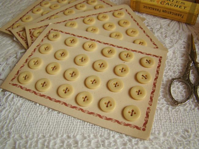 Jolie carte ancienne de 24 petits boutons ronds de couleur crème 1920-30