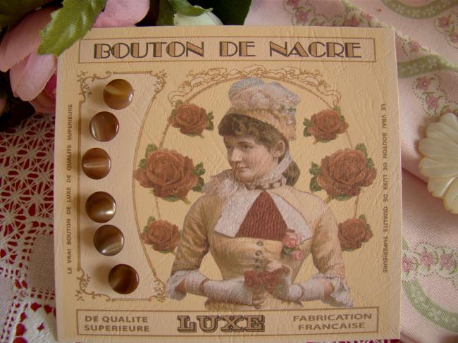 Jolie carte de 6 boutons anciens de nacre 'Grain de Riz' sur pied, chocolat