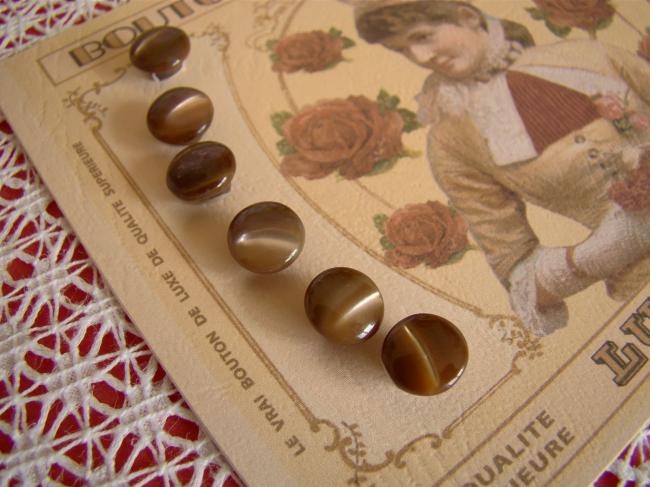 Jolie carte de 6 boutons anciens de nacre 'Grain de Riz' sur pied, chocolat