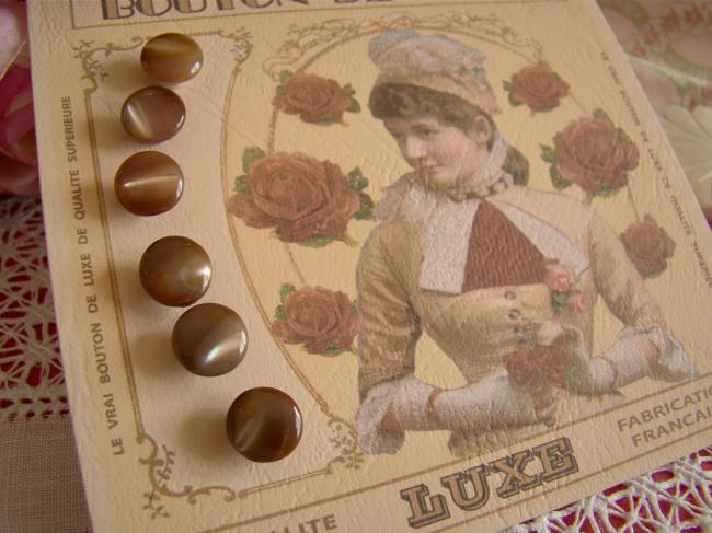 Jolie carte de 6 boutons anciens de nacre 'Grain de Riz' sur pied, chocolat