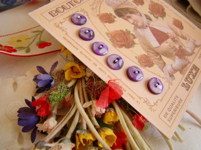 Lovely card with 6 antique engraved buttons in mother of pearl, purple color