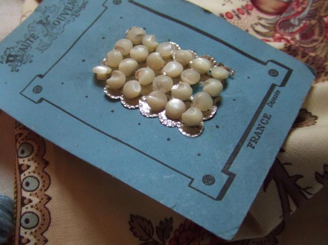 Série de 24 mini boutons de layette en nacre et sur pied, 1900, Haute Nouveauté