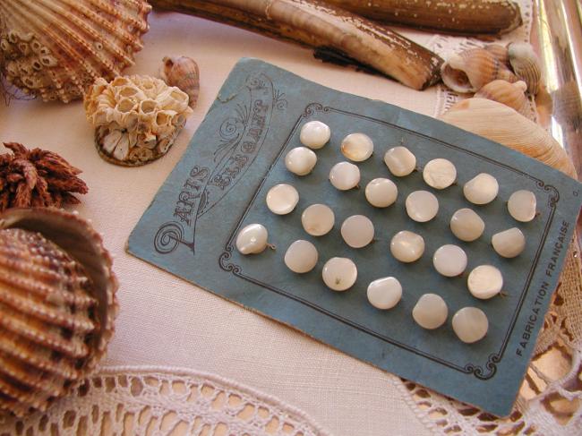 Carte de 24 petits boutons de layette sur pied, taillés dans la nacre. 1900