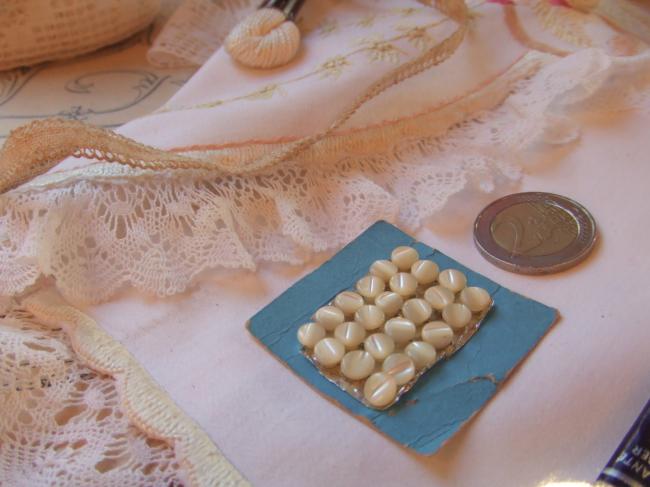Très mini boutons en nacre taillés dans la nacre, grain de riz, pour layette