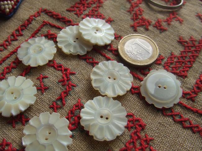 Merveilleux bouton de nacre blanche taillé en marguerite 1900, 2ème choix