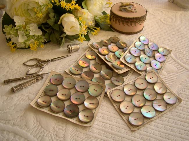 Carte ancienne de 12 boutons de nacre (burgau) grise irisée de rose & vert 22mm