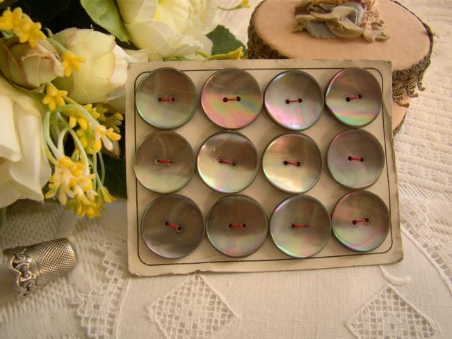 Carte ancienne de 12 boutons de nacre (burgau) grise irisée de rose & vert 22mm