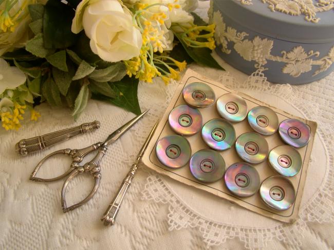Carte ancienne de 12 boutons de nacre (burgau) grise irisée de rose & vert 22mm