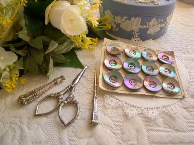 Carte ancienne de 12 boutons de nacre (burgau) grise irisée de rose & vert 22mm