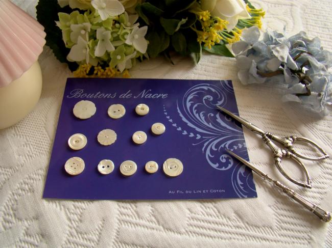 Très jolie collection de 12 boutons anciens en nacre blanche 1900-20