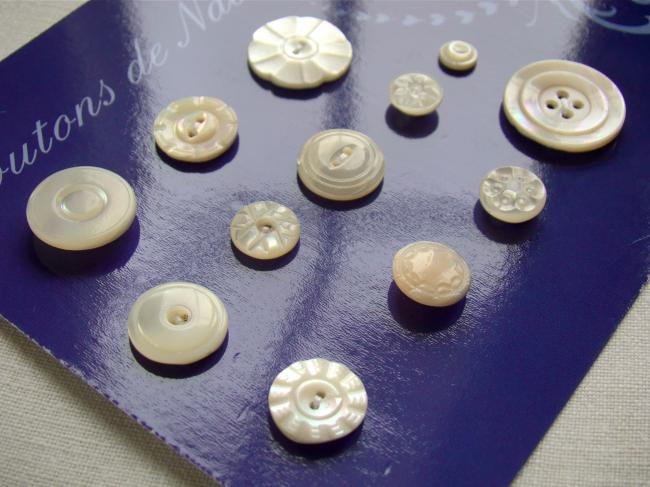 Jolie collection de 12  boutons anciens en nacre blanche 1900-20