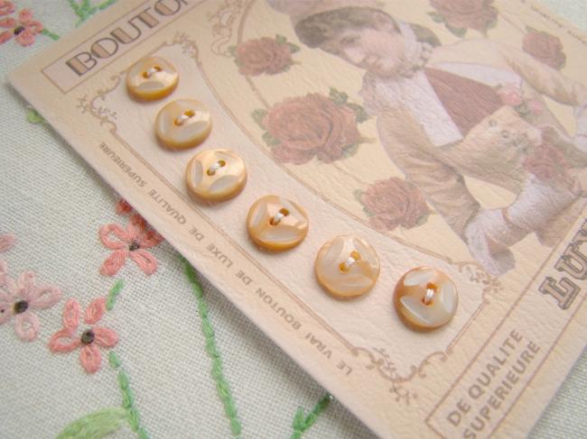 Lovely card with 6 antique engraved buttons in mother of pearl, apricot color