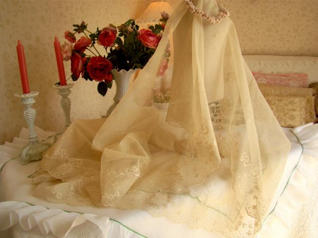 Somptueux volant en tulle rebrodé de rubans & fleurs en fil de soie 4,28m x 53cm