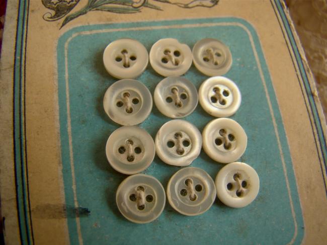 Rare carte 12 mini boutons anciens en nacre, à bourrelet,1900 (Ø 6mm)