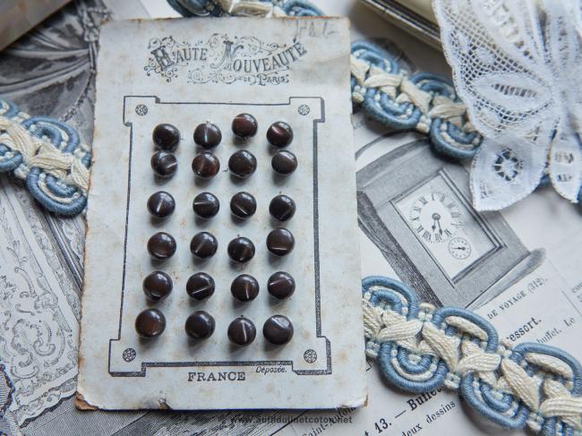 Rare carte de 24 petits boutons en nacre à grain de riz, marron 1890 Ø7mm