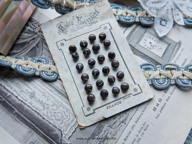 Rare carte de 24 petits boutons en nacre à grain de riz, marron 1890 Ø7mm