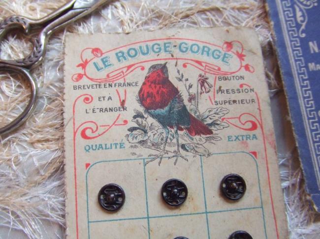 Adorable carte de 12 petits Boutons pression, Le Rouge-Gorge, en 8mm