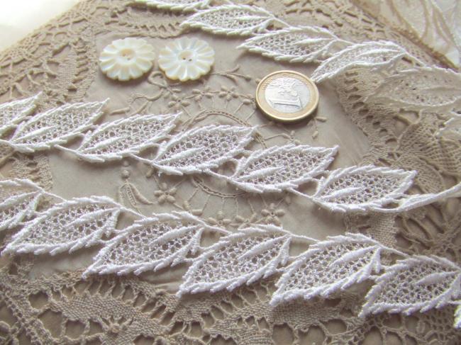 Jolie dentelle brodée de feuilles ajourées de couleur blanche satinée