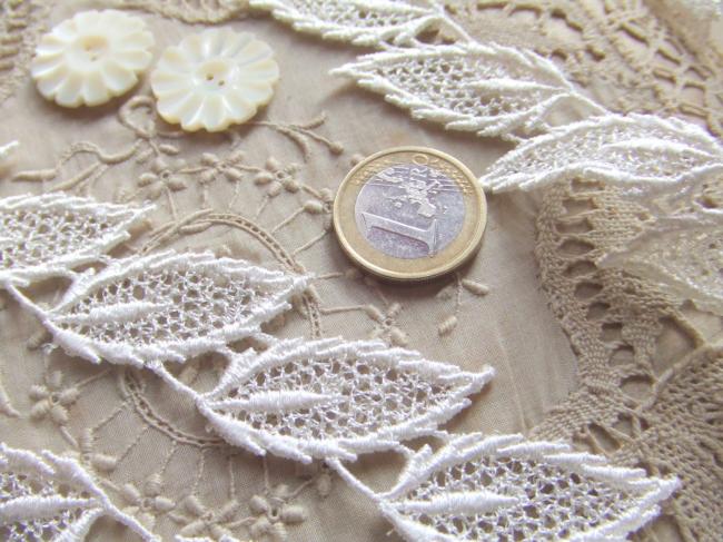 Jolie dentelle brodée de feuilles ajourées de couleur blanche satinée